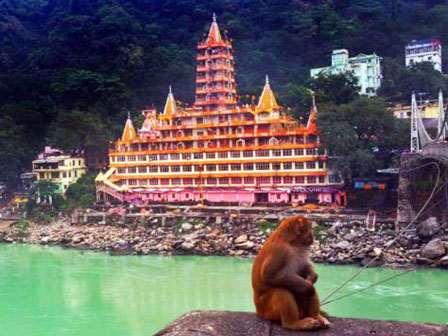 Templo Kailash Niketan, Rishikesh